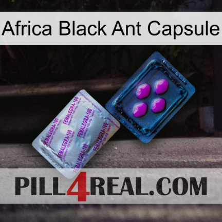 Africa Black Ant Capsule 37